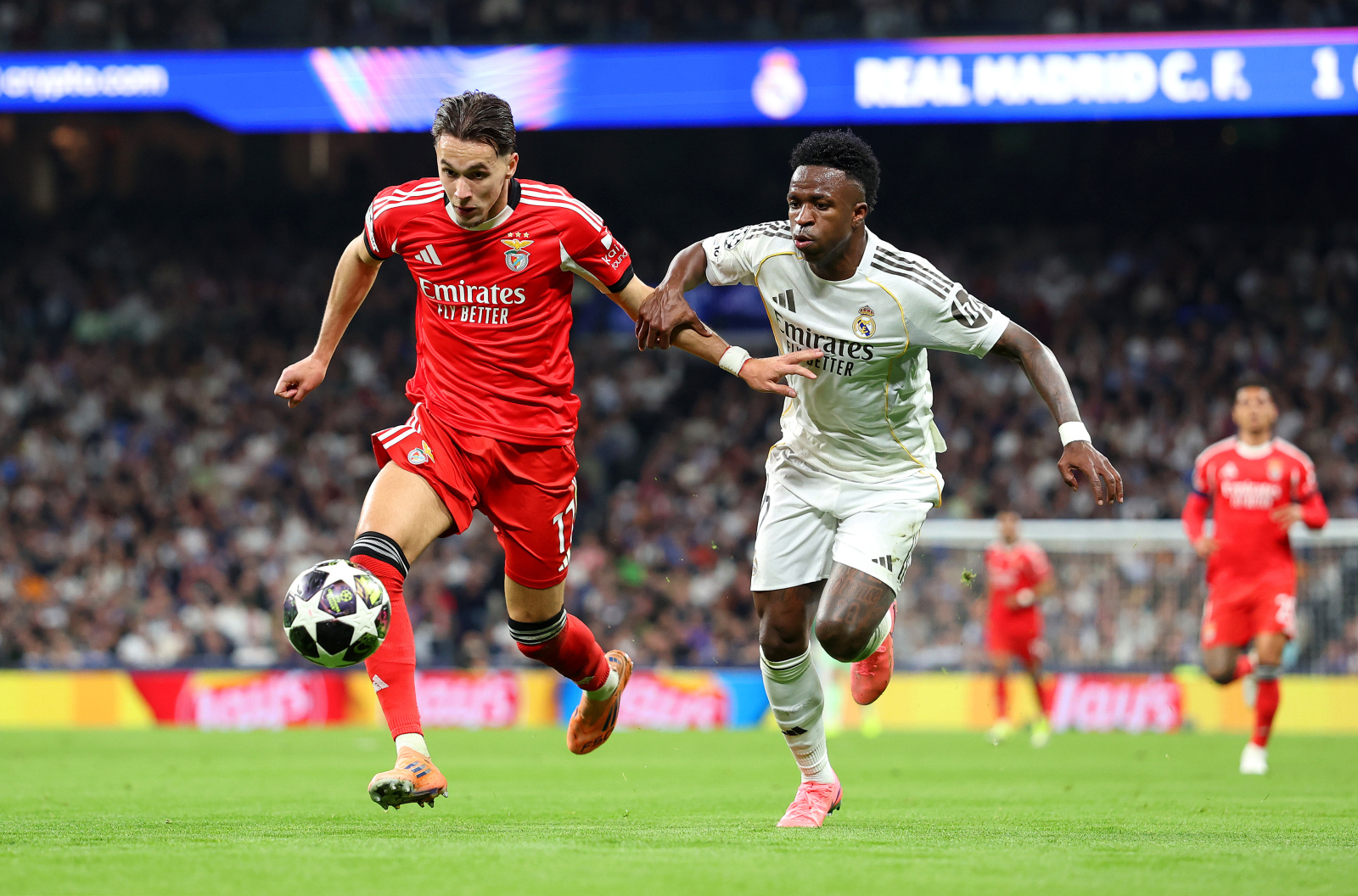 Lee más sobre el artículo ¡Todo lo que necesitas saber de los Play-Offs, Champions League!